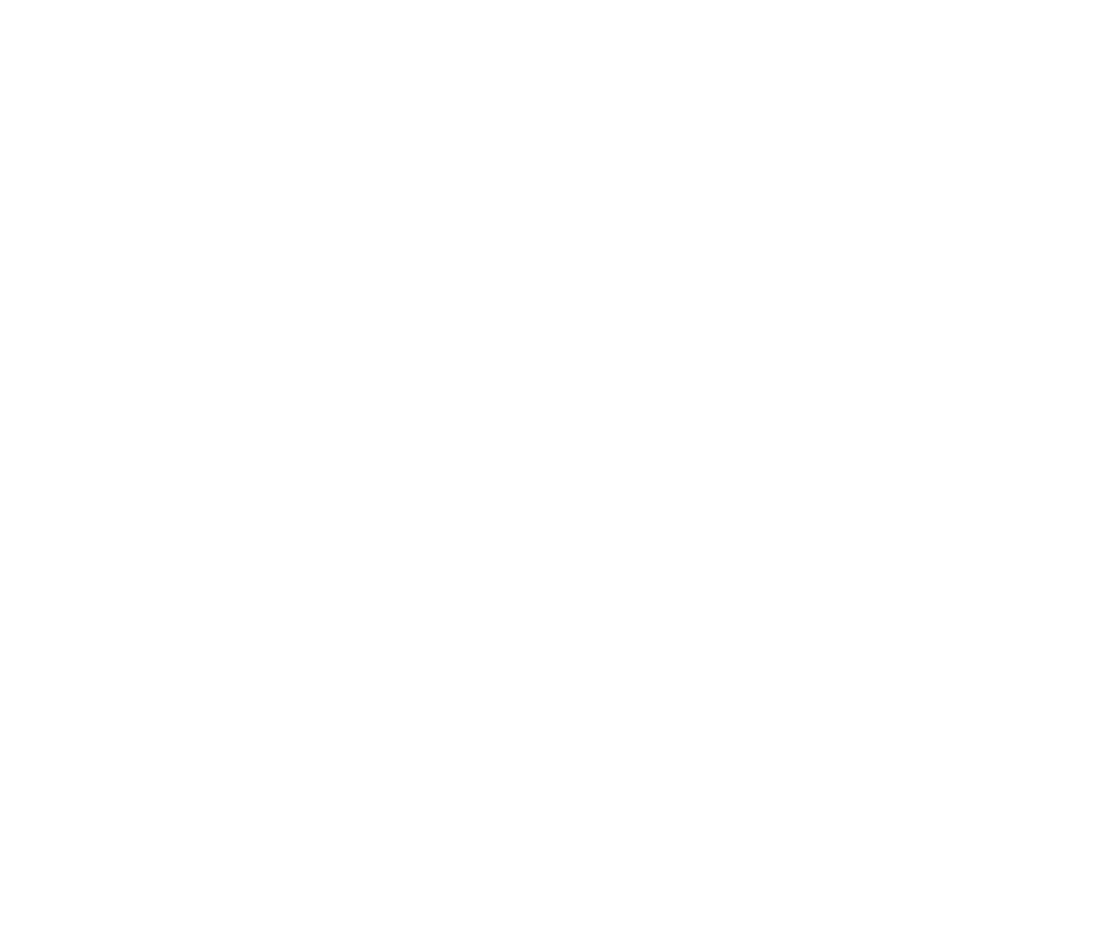 icon-flecha